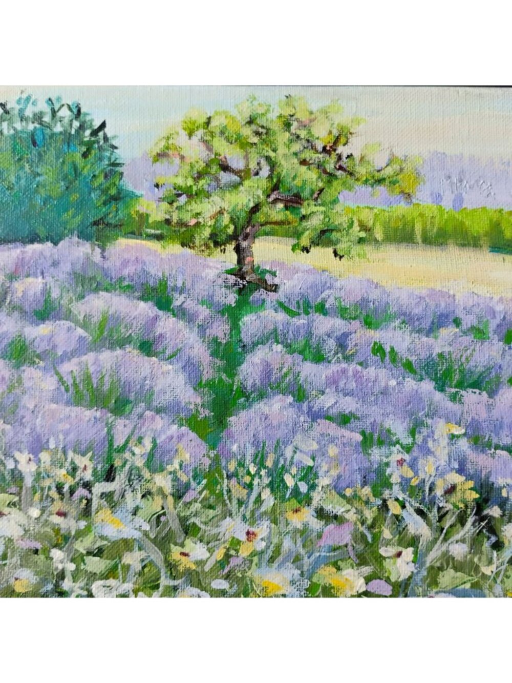 Framed Lavender Field Landscape Oil Painting On Canvas, Signed Original Art 11x9 - Picture 7 of 9